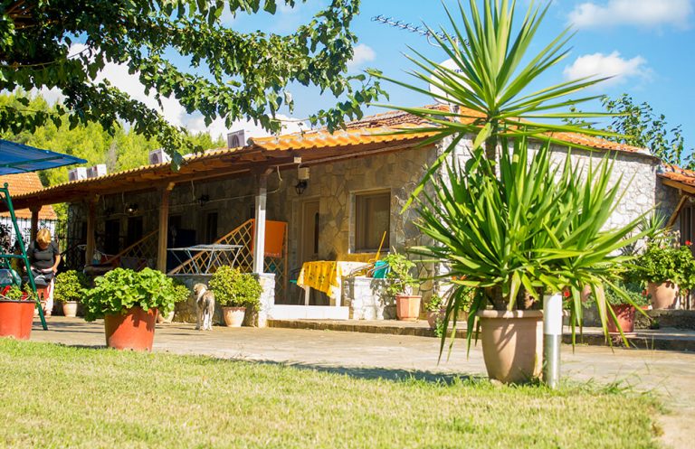 Flower Bungalovi