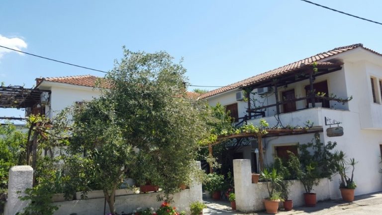 Vila Delfini – Pilion