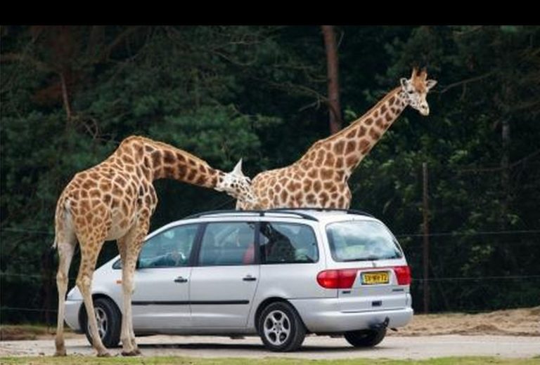 Safari Park Richter – Mađarska